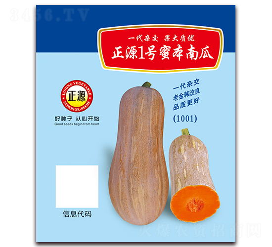 正源1號(hào)蜜本南瓜（1001）-南瓜種子-和利農(nóng)