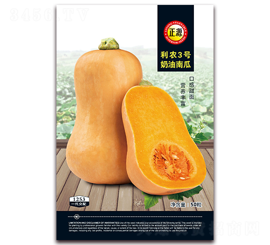 利農(nóng)3號奶油南瓜（1253）-南瓜種子-和利農(nóng)