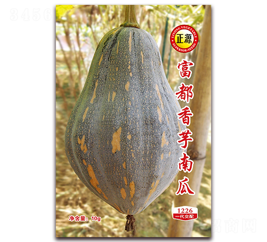 富都香芋南瓜（1226）-南瓜種子-和利農(nóng)