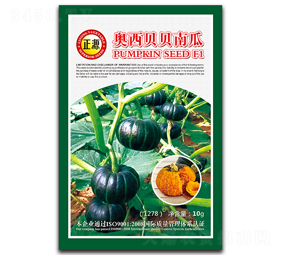 奧西貝貝南瓜（1278）-南瓜種子-和利農(nóng)