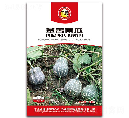 金香南瓜F1（1203）-南瓜種子-和利農(nóng)