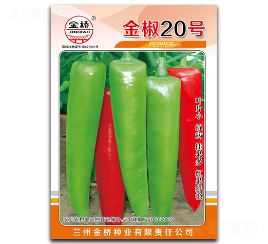 金椒20號-辣椒種子-金橋種業(yè)