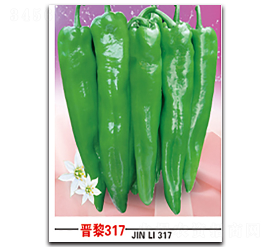 晉黎317-辣椒種子-晉黎來(lái)
