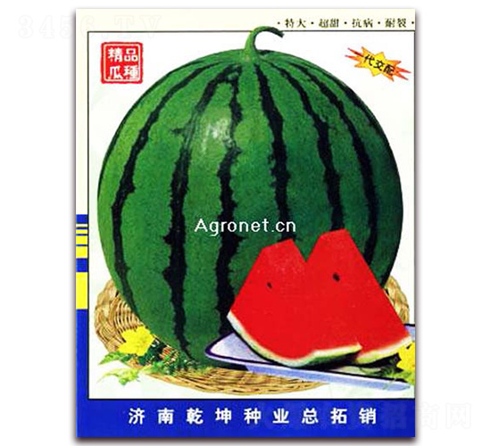 冠欣七號-西瓜種子-乾坤種業(yè)
