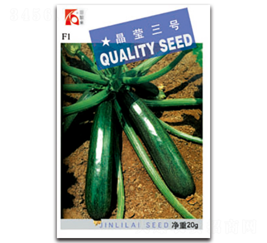 晶瑩三號(hào)-西葫蘆種子-晉黎來(lái)