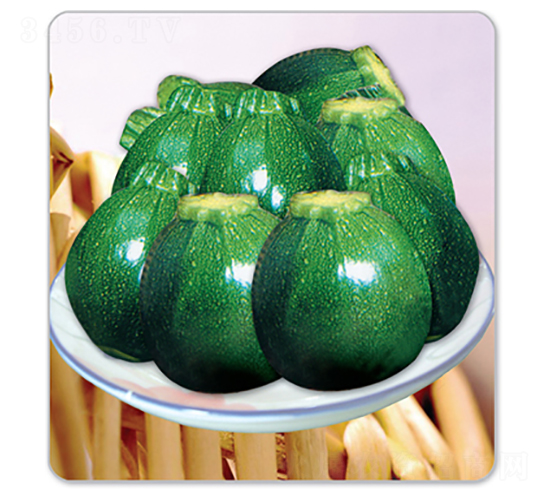碧珍-西葫蘆種子-晉黎來(lái)
