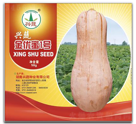 金優(yōu)蜜1號-南瓜種子-興蔬種業(yè)