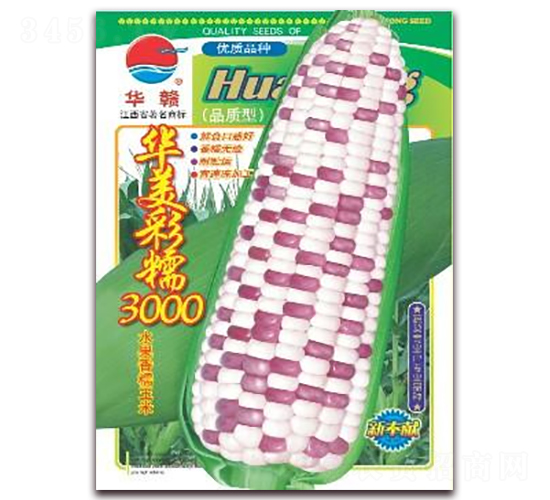 華美彩糯3000-糯玉米種子-華農種業(yè)