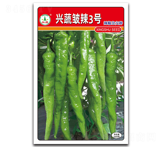 興蔬皺辣3號(hào)-辣椒種子-興蔬種業(yè)