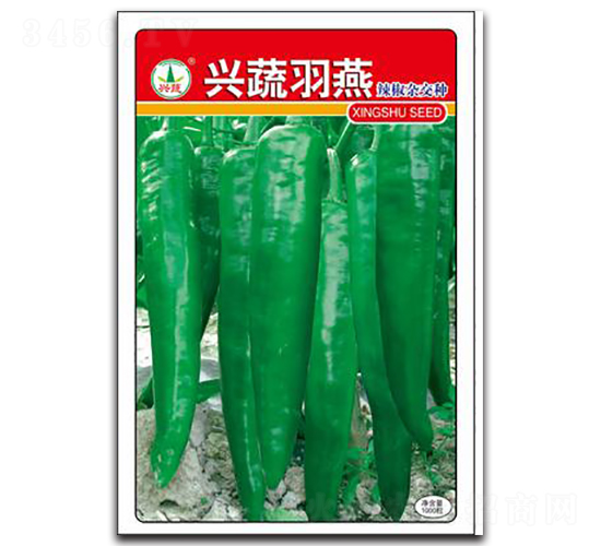 興蔬羽燕-辣椒種子-興蔬種業(yè)