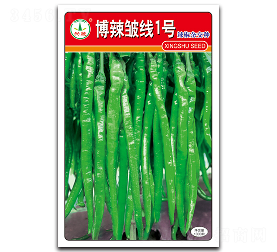 博辣皺線(xiàn)1號(hào)-辣椒種子-興蔬種業(yè)