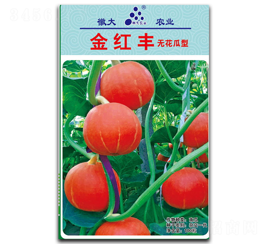 金紅豐-南瓜種子-徽大農(nóng)業(yè)