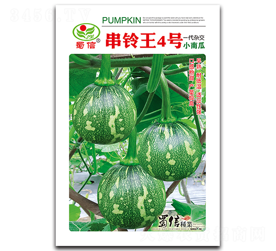 串鈴王4號-南瓜種子-蜀信種業(yè)