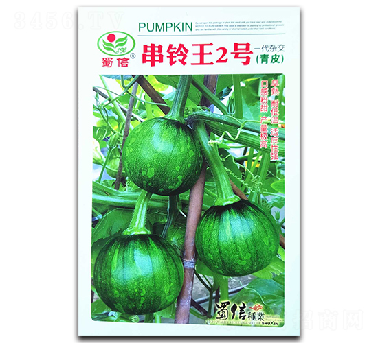 串鈴?fù)?號-南瓜種子-蜀信種業(yè)