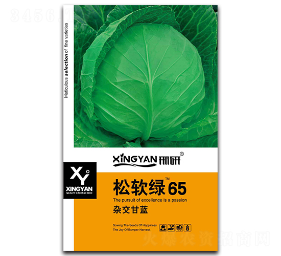 松軟綠65-甘藍(lán)種子-邢研種業(yè)