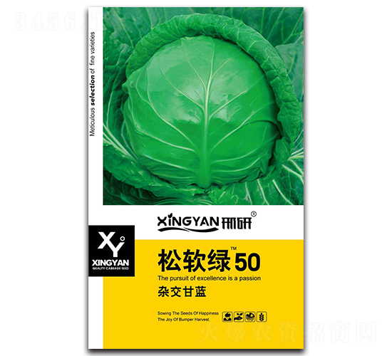 松軟綠50-甘藍(lán)種子-邢研種業(yè)
