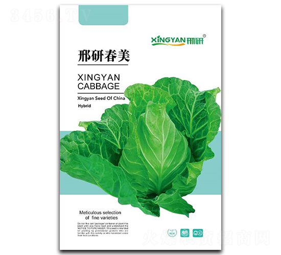 邢研春美-甘藍種子-邢研種業(yè)