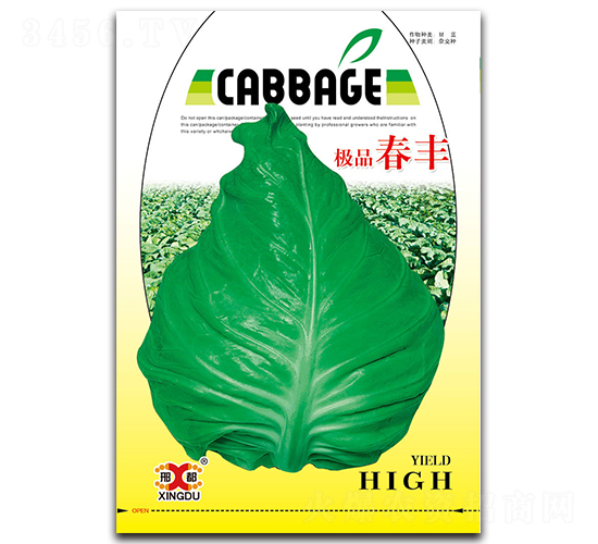 春豐-甘藍種子-邢研種業(yè)