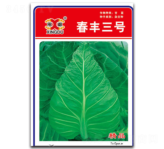 春豐三號-甘藍(lán)種子-邢研種業(yè)