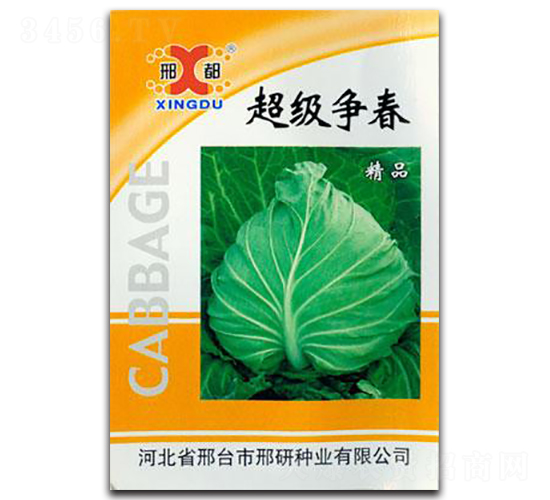 超級(jí)爭春-甘藍(lán)種子-邢研種業(yè)