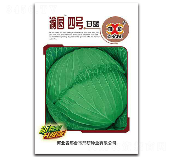 渝圓四號-甘藍種子-邢研種業(yè)