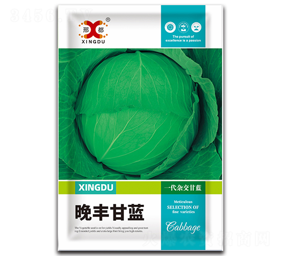 晚豐-甘藍(lán)種子-邢研種業(yè)