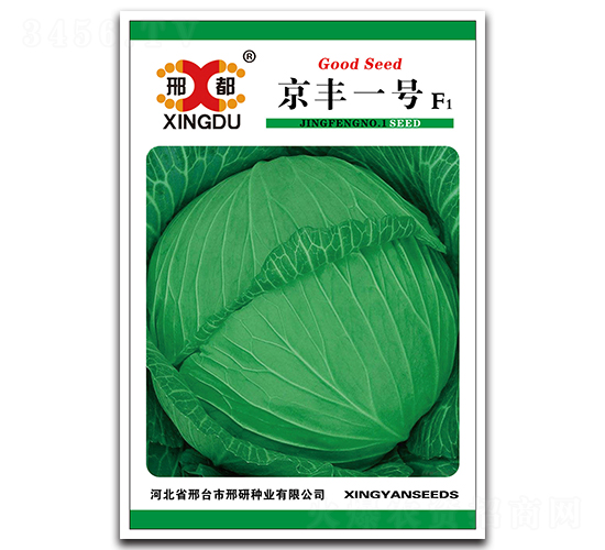 京豐一號(hào)-甘藍(lán)種子-邢研種業(yè)
