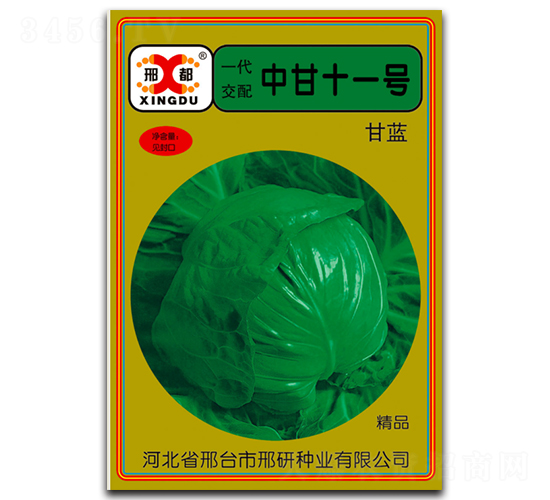 中甘十一號-甘藍種子-邢研種業(yè)