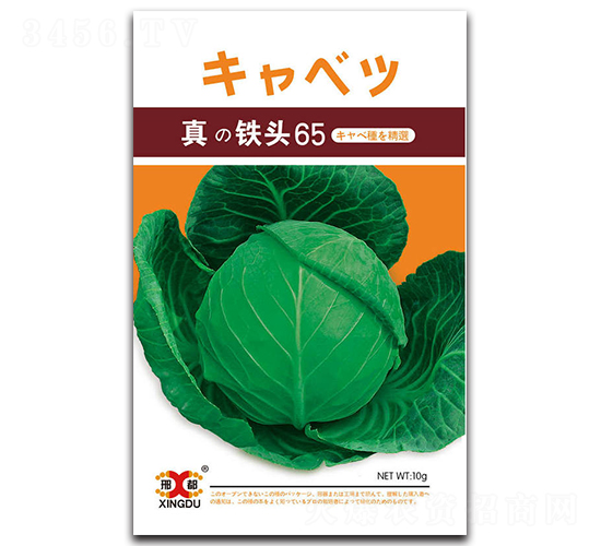 真鐵頭65-甘藍(lán)種子-邢研種業(yè)