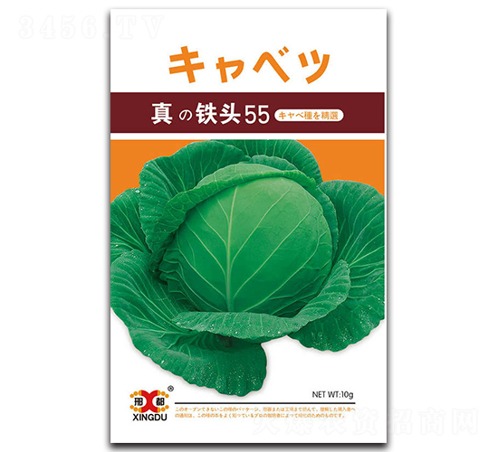 真鐵頭55-甘藍(lán)種子-邢研種業(yè)