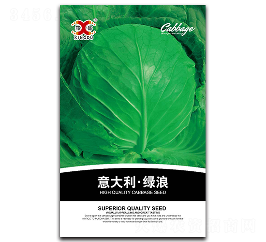 意大利綠浪-甘藍種子-邢研種業(yè)