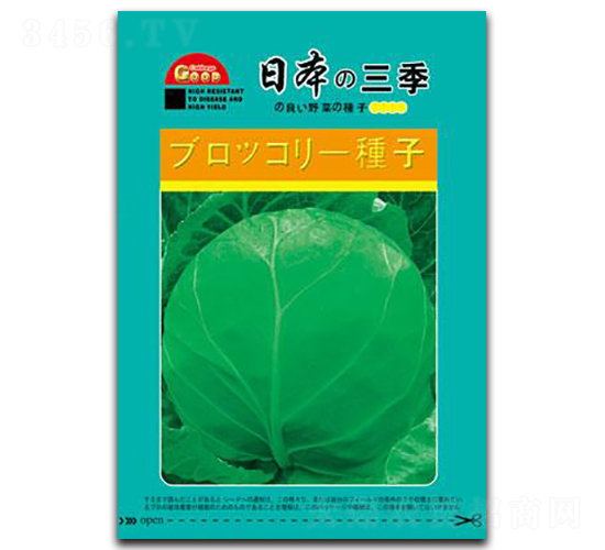 日本三季-甘藍種子-邢研種業(yè)