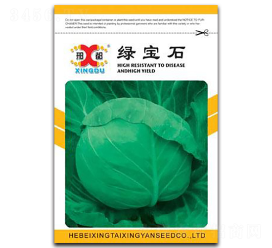 綠寶石-甘藍(lán)種子-邢研種業(yè)