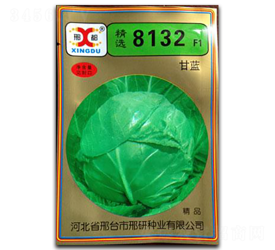 精選8132-甘藍種子-邢研種業(yè)