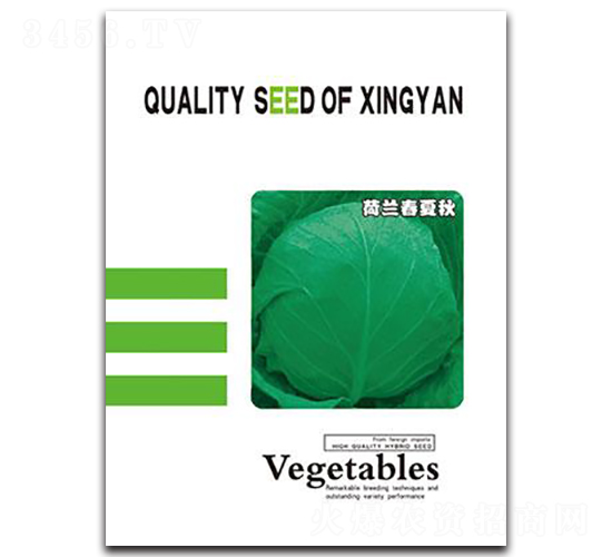 荷蘭春夏秋-甘藍(lán)種子-邢研種業(yè)