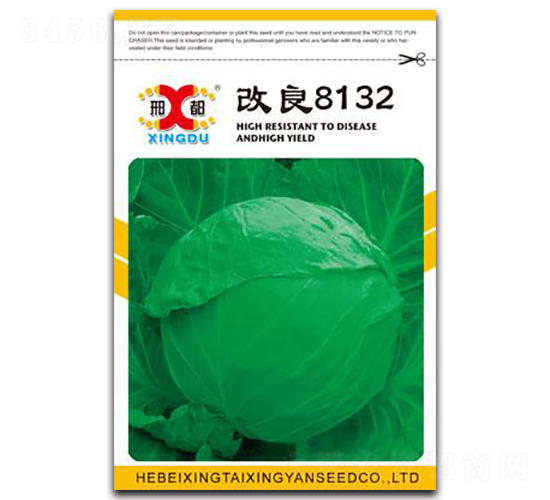 改良8132-甘藍種子-邢研種業(yè)