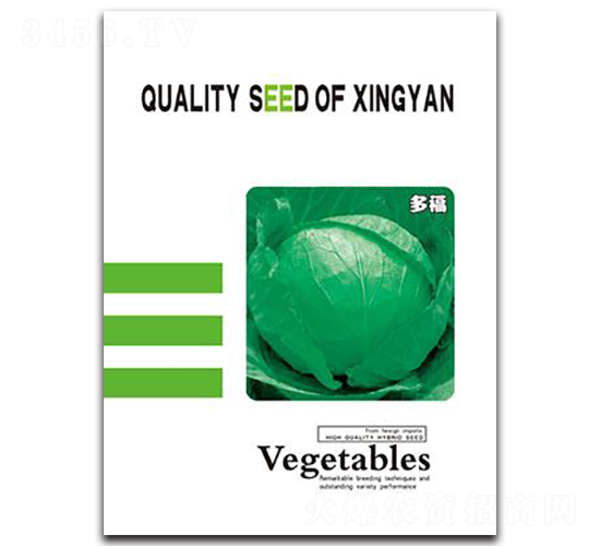 多福-甘藍(lán)種子-邢研種業(yè)