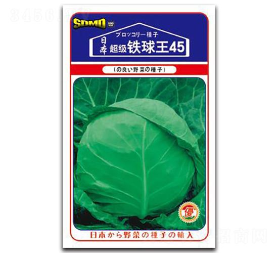 超級鐵球王45-甘藍(lán)種子-邢研種業(yè)