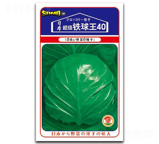超級鐵球王40-甘藍(lán)種子-邢研種業(yè)