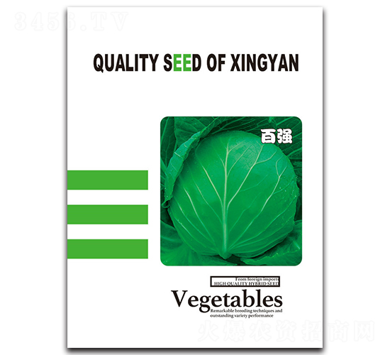 百強-甘藍種子-邢研種業(yè)