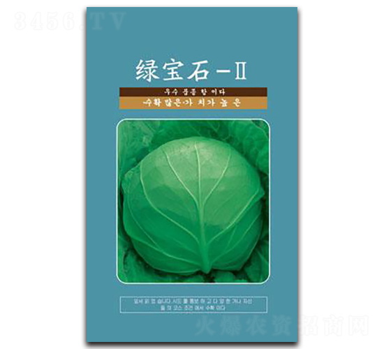 綠寶石-Ⅱ-甘藍(lán)種子-邢研種業(yè)