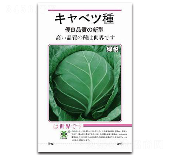 綠悅-甘藍(lán)種子-邢研種業(yè)