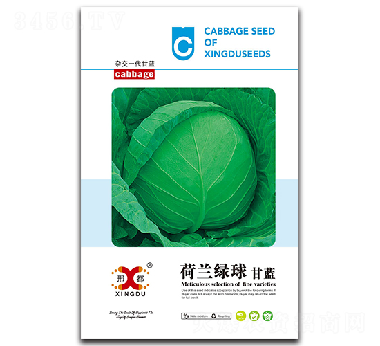 荷蘭綠球-甘藍(lán)種子-邢研種業(yè)