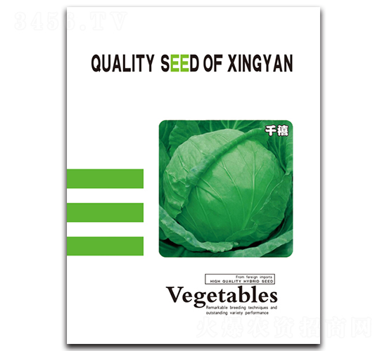 千禧-甘藍種子-邢研種業(yè)