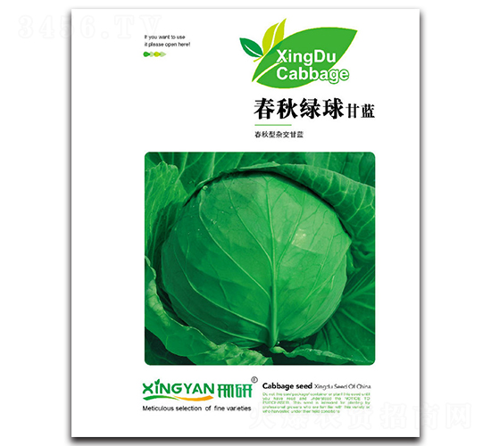 春秋綠球-甘藍(lán)種子-邢研種業(yè)