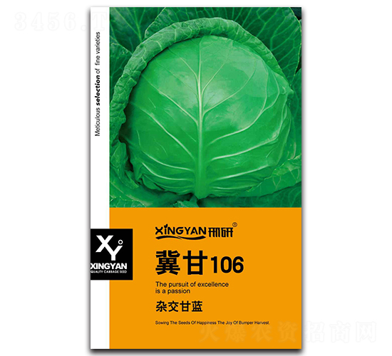 冀甘106-甘藍種子-邢研種業(yè)