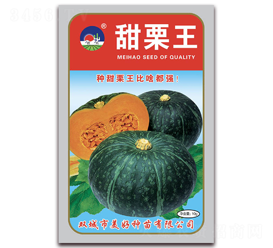 甜栗王-南瓜種子-美好種苗