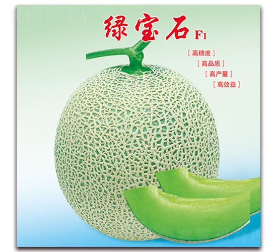綠寶石-甜瓜種子-美好種苗