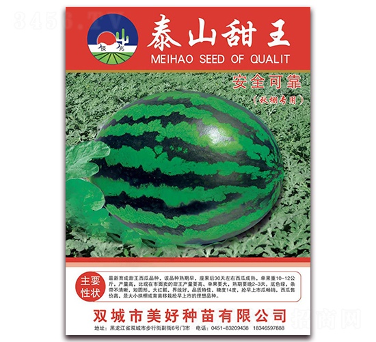 泰山甜王-西瓜種子-美好種苗