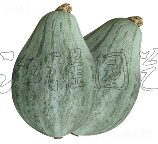 新貴2號(hào)-南瓜種子-江淮園藝
